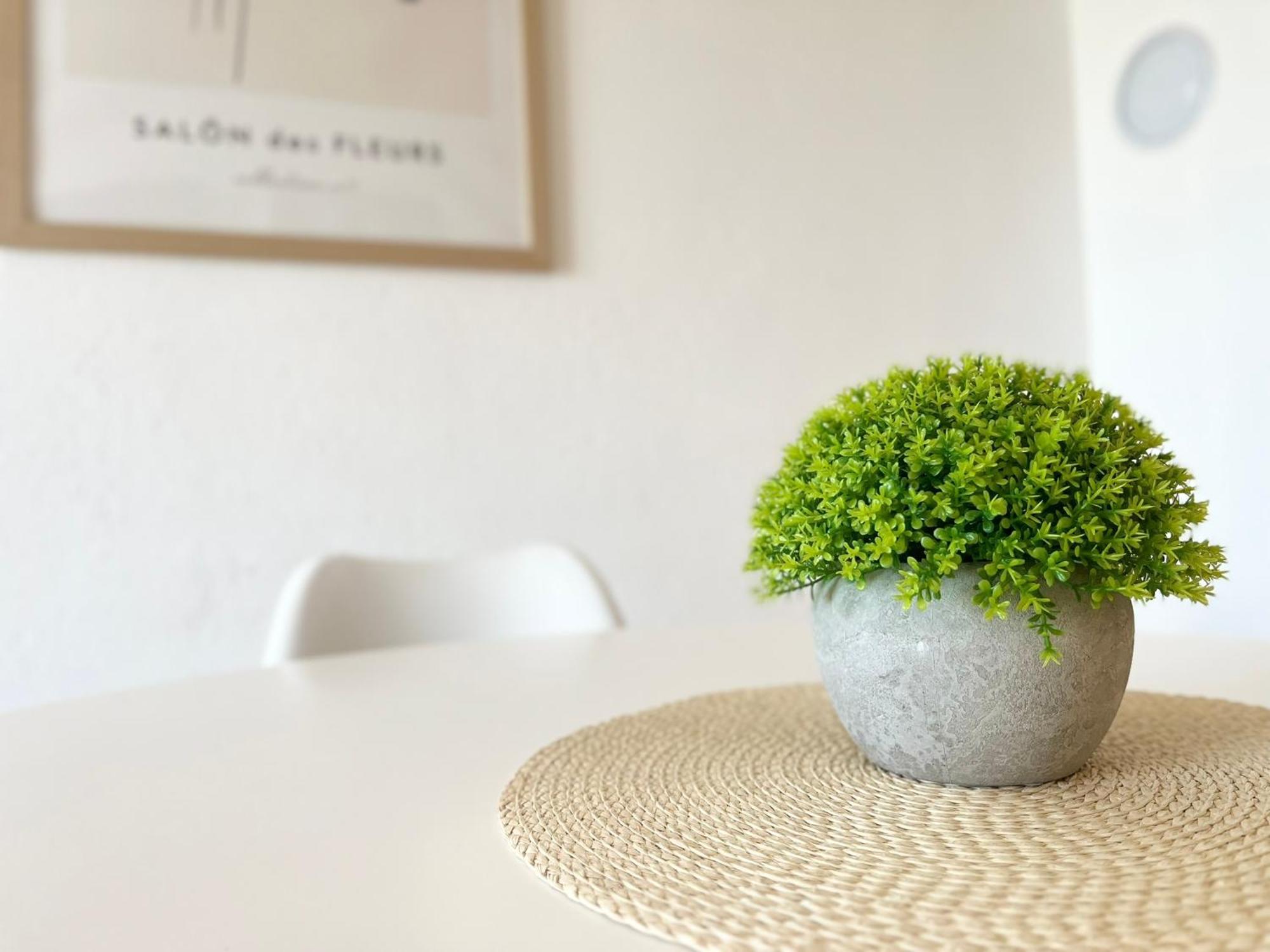 Apartments Contessa Novigrad  Ngoại thất bức ảnh
