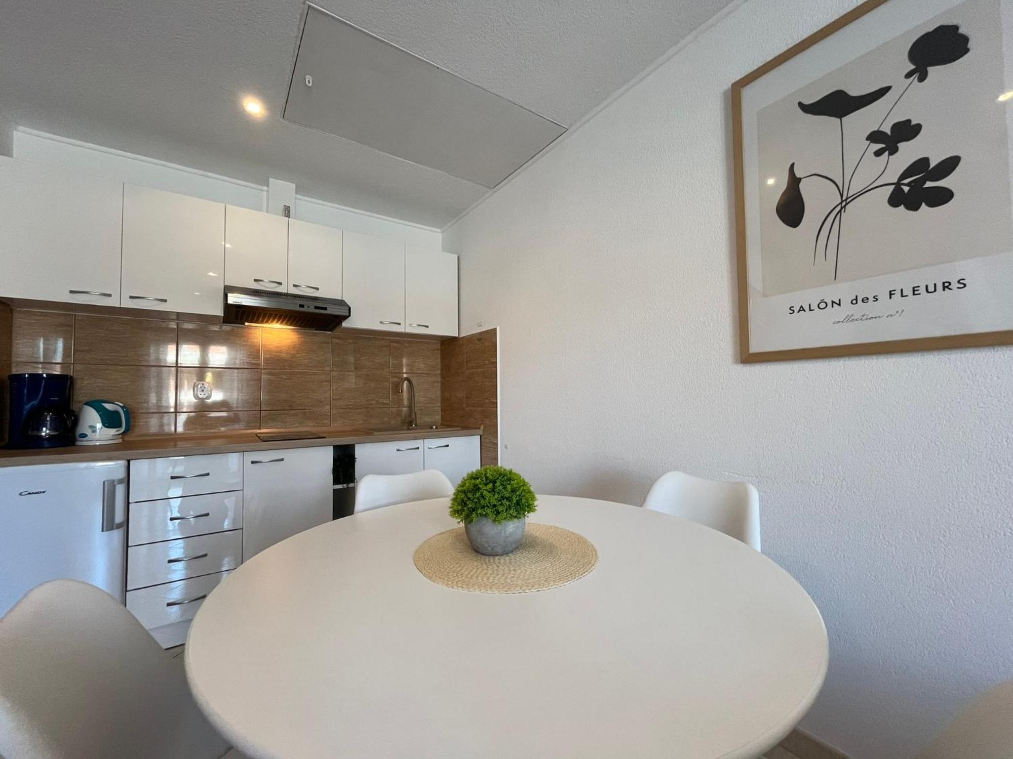 Apartments Contessa Novigrad  Ngoại thất bức ảnh