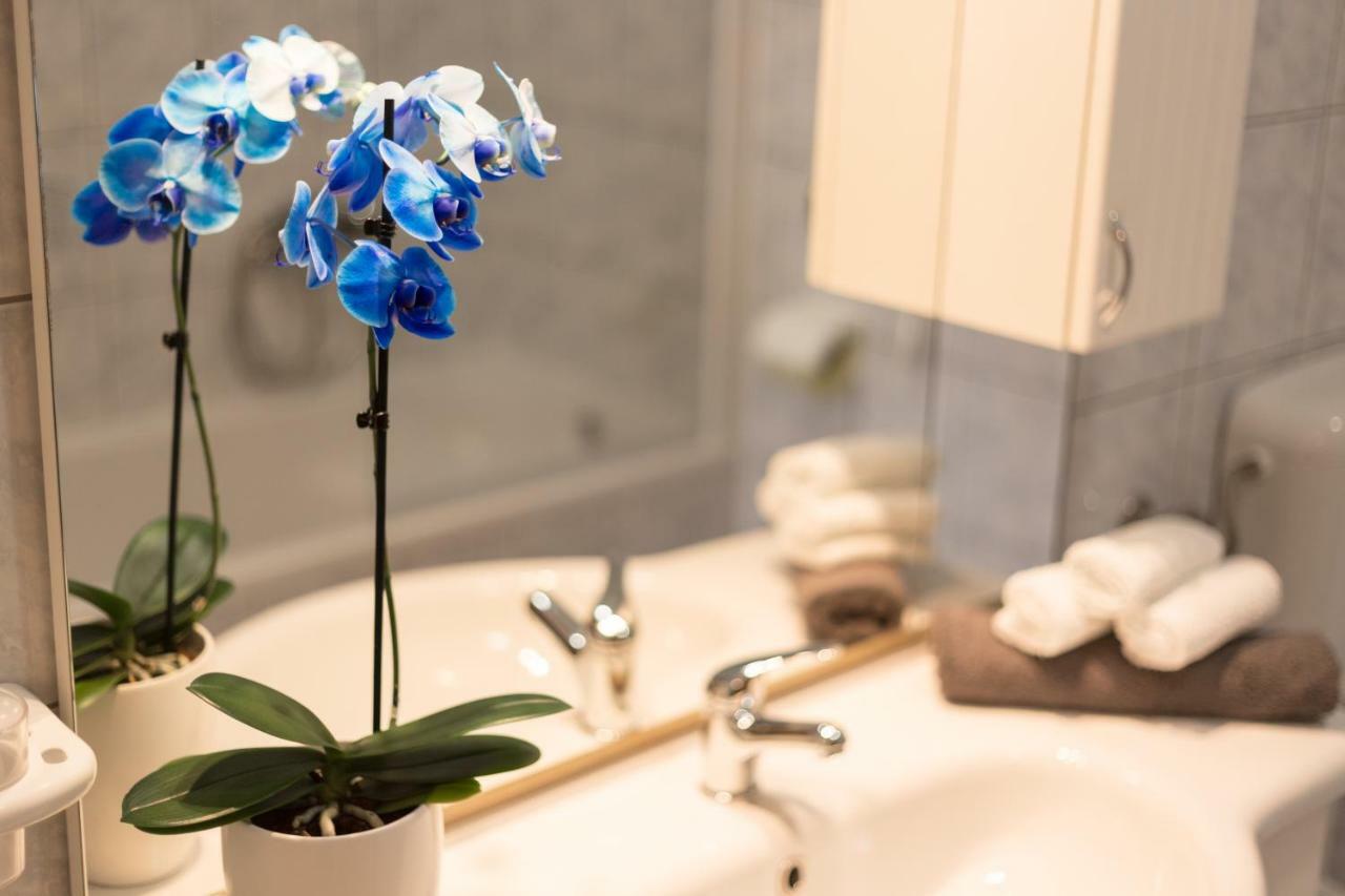 Apartments Contessa Novigrad  Ngoại thất bức ảnh